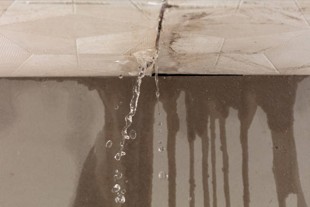 Professional Burst Pipe Cleanup technician working in Trenton, GA